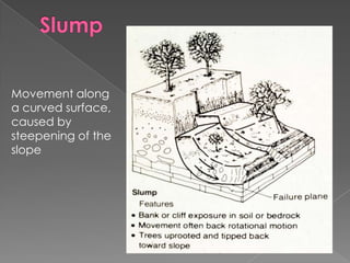 VegetationIncreases slope stability! Absorb water from rainfall and roots stabilize within soil 