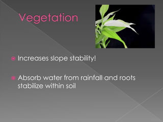 Weathering and ClimateWeathering: wind and water erosion weakens surfaces
