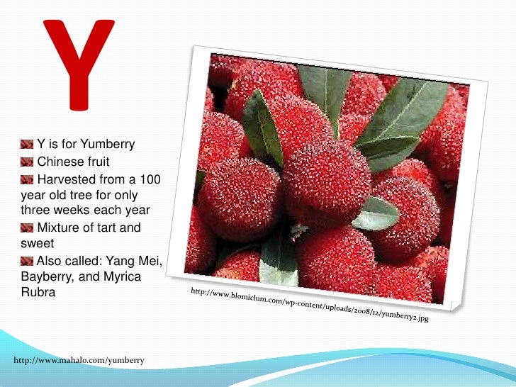 Fruit Beginning With S Letters Fruit Beginning With S Letters