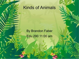 Kinds of Animals By Brandon Faber Edu 290 11:00 am 