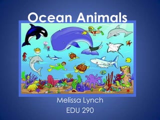 Ocean Animals  Melissa Lynch EDU 290 