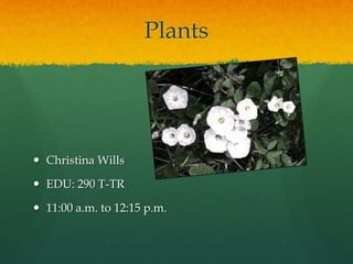 Plants  Christina Wills EDU: 290 T-TR 11:00 a.m. to 12:15 p.m. 