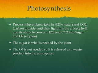 Making foodPlants have special components in their cells that are needed to make their own food, called ChloroplastsA chloroplast is a green plastid inside a plant cell, it contains the pigment chlorophyll which is why plants are green. This pigment is needed for plants to complete photosynthesis. Photosynthesis is a process in which a plant makes its own food.