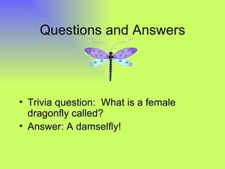 Questions and Answers




• Trivia question: What is a female
  dragonfly called?
• Answer: A damselfly!
 