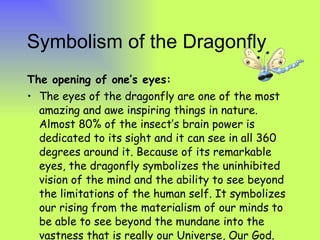 Symbolism of the Dragonfly The opening of one’s   eyes:   The eyes of the dragonfly are one of the most amazing and awe inspiring things in nature. Almost 80% of the insect’s brain power is dedicated to its sight and it can see in all 360 degrees around it. Because of its remarkable eyes, the dragonfly symbolizes the uninhibited vision of the mind and the ability to see beyond the limitations of the human self. It symbolizes our   rising from the materialism of our minds to be able to see beyond the mundane into the vastness that is really our Universe, Our God. 