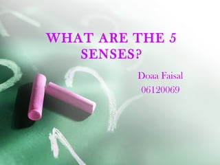 WHAT ARE THE 5
   SENSES?
         Doaa Faisal
         06120069
 