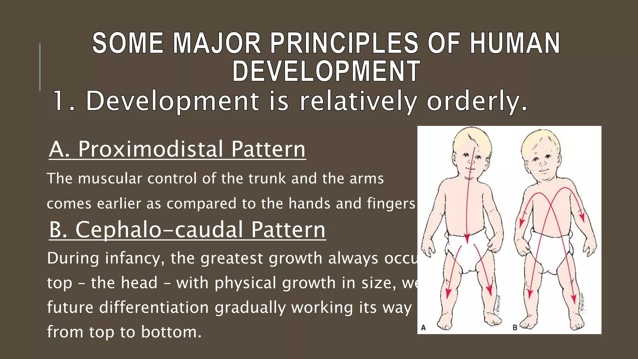 A. Proximodistal Pattern
The muscular control of the trunk and the arms
comes earlier as compared to the hands and fingers.
B. Cephalo-caudal Pattern
During infancy, the greatest growth always occurs at the
top – the head – with physical growth in size, weight and
future differentiation gradually working its way down
from top to bottom.
 