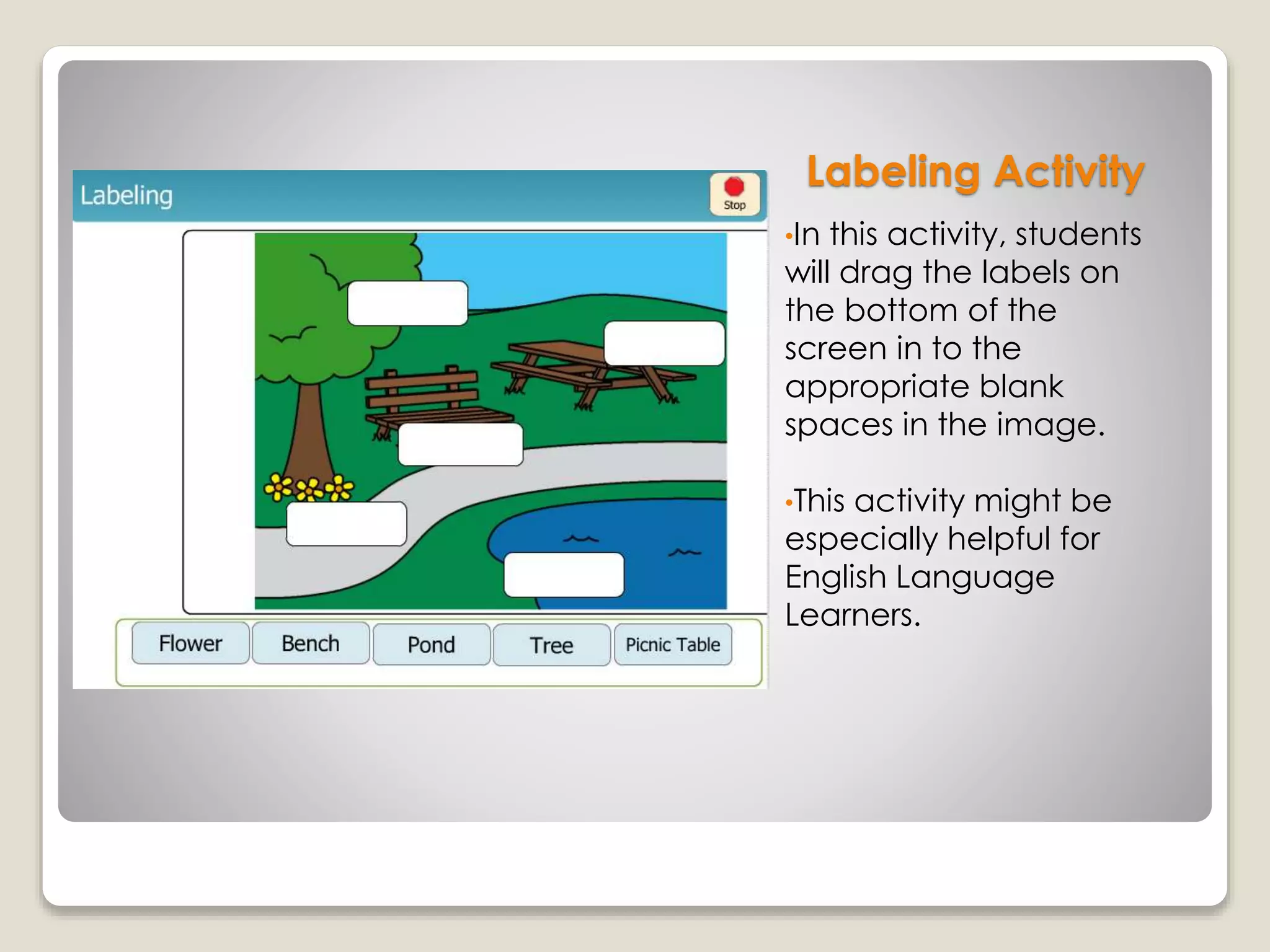 Labeling Activity
•In this activity, students
will drag the labels on
the bottom of the
screen in to the
appropriate blank
spaces in the image.
•This activity might be
especially helpful for
English Language
Learners.
 