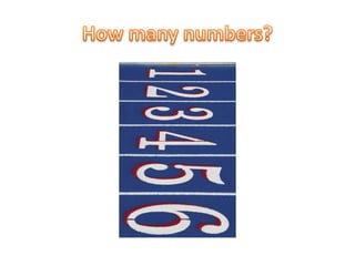 How many numbers?