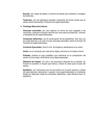 EO-PNP EDUCACIÓN SEXUAL Y DESARROLLO PERSONAL
Escroto: son capas de tejidos a manera de bolsas que contienen y protegen
los testículos.
Testículos: son dos glándulas sexuales masculinas de forma ovoide que se
ubican dentro del escroto. Producen los espermatozoides.
 Fisiología Masculina Interna
Vesículas seminales, son dos órganos en forma de saco pegadas a los
conductos, producen el líquido seminal que sirve para la protección, nutrición
y transporte de los espermatozoides.
Conductos deferentes, son la continuación de los epidídimos. Son dos uno
por cada testículo y se unen con las vesículas seminales, tienen la función de
conducir los espermatozoides.
Conducto Eyaculador, tiene 2 cms. de longitud y desemboca en la uretra.
Uretra: es un conducto que nace de la vejiga y termina en el meato urinario.
Próstata: produce el jugo prostático que interviene en la composición del
semen y le da mayor movimiento a los espermatozoides.
Glándula de Cowper: son dos y se encuentran después de la próstata. Su
función es secretar un líquido que lubrica y limpia la uretra para el paso del
semen.
Epidídimo: son estructuras que se encuentran en la parte superior y lateral
de cada testículo, almacenan y ayudan a los espermatozoides a movilizarse
desde los testículos hasta los conductos deferentes, cada testículo tiene un
epidídimo.
 