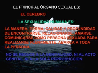 EL PRINCIPAL ÓRGANO SEXUAL ES: 
EL CEREBRO 
LA SEXUALIDAD HUMANA ES: 
LA MANERA, FORMA, CALIDAD Y PROFUNDIDAD 
DE ENCONTRARSE, RELACIONARSE, AMARSE, 
COMUNICARSE COMO PERSONA SEXUADA PARA 
REALIZARSE PLENAMENTE. ABARCA A TODA 
LA PERSONA. 
NO SE REDUCE A LA GENITALIDAD, NI AL ACTO 
GENITAL, NI A LA SOLA REPRODUCCIÓN. 
 