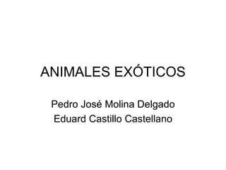 ANIMALES EXÓTICOS

 Pedro José Molina Delgado
 Eduard Castillo Castellano
 