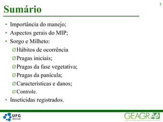 • Importância do manejo;
• Aspectos gerais do MIP;
• Sorgo e Milheto:
ØHábitos de ocorrência
ØPragas iniciais;
ØPragas da fase vegetativa;
ØPragas da panícula;
ØCaracterísticas e danos;
Ø Controle.
• Inseticidas registrados.
Sumário
2
 