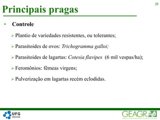 Principais pragas
25
• Controle
 Plantio de variedades resistentes, ou tolerantes;
 Parasitoides de ovos: Trichogramma galloi;
 Parasitoides de lagartas: Cotesia flavipes (6 mil vespas/ha);
 Feromônios: fêmeas virgens;
 Pulverização em lagartas recém eclodidas.
 