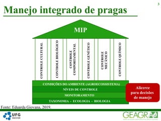 Manejo integrado de pragas
3
MIP
CONTROLEBIOLÓGICO
CONTROLE
COMPORTAMENTAL
CONTROLECULTURAL
CONTROLEGENÉTICO
CONTROLE
MECÂNICO
CONTROLEQUÍMICO
CONDIÇÕES DO AMBIENTE (AGROECOSSISTEMA)
TAXONOMIA - ECOLOGIA - BIOLOGIA
NÍVEIS DE CONTROLE
MONITORAMENTO
Alicerce
para decisões
de manejo
Fonte: Eduarda Giovana, 2019.
 