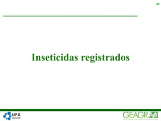Inseticidas registrados
49
 