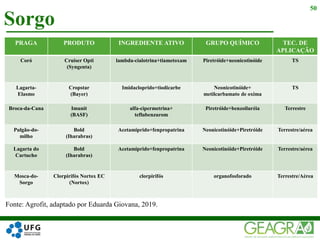Sorgo
50
PRAGA PRODUTO INGREDIENTE ATIVO GRUPO QUÍMICO TEC. DE
APLICAÇÃO
Coró Cruiser Opti
(Syngenta)
lambda-cialotrina+tiametoxam Piretróide+neonicotinóide TS
Lagarta-
Elasmo
Cropstar
(Bayer)
Imidacloprido+tiodicarbe Neonicotinóide+
metilcarbamato de oxima
TS
Broca-da-Cana Imunit
(BASF)
alfa-cipermetrina+
teflubenzurom
Piretróide+benzoiluréia Terrestre
Pulgão-do-
milho
Bold
(Iharabras)
Acetamiprido+fenpropatrina Neonicotinóide+Piretróide Terrestre/aérea
Lagarta do
Cartucho
Bold
(Iharabras)
Acetamiprido+fenpropatrina Neonicotinóide+Piretróide Terrestre/aérea
Mosca-do-
Sorgo
Clorpirifós Nortox EC
(Nortox)
clorpirifós organofosforado Terrestre/Aérea
Fonte: Agrofit, adaptado por Eduarda Giovana, 2019.
 