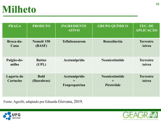 Milheto
51
PRAGA PRODUTO INGREDIENTE
ATIVO
GRUPO QUÍMICO TEC. DE
APLICAÇÃO
Broca-da-
Cana
Nomolt 150
(BASF)
Teflubenzurom Benzoiluréia Terrestre
/aérea
Pulgão-do-
milho
Battus
(UPL)
Acetamiprido Neonicotinóide Terrestre
/aérea
Lagarta do
Cartucho
Bold
(Iharabras)
Acetamiprido
+
Fenpropatrina
Neonicotinóide
+
Piretróide
Terrestre
/aérea
Fonte: Agrofit, adaptado por Eduarda Giovana, 2019.
 