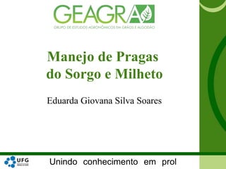 Unindo conhecimento em prol
Manejo de Pragas
do Sorgo e Milheto
Eduarda Giovana Silva Soares
 