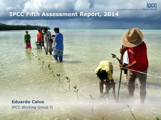 Eduardo Calvo
IPCC Working Group II
IPCC Fifth Assessment Report, 2014
 