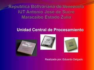 Unidad Central de Procesamiento
Realizado por: Eduardo Delgado
 