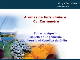 Aromas de  Vitis vinifera  Cv. Carménère Eduardo Agosin Escuela de Ingeniería,  Universidad Catolica de Chile  “ Porque la vida no es  solo colores” 