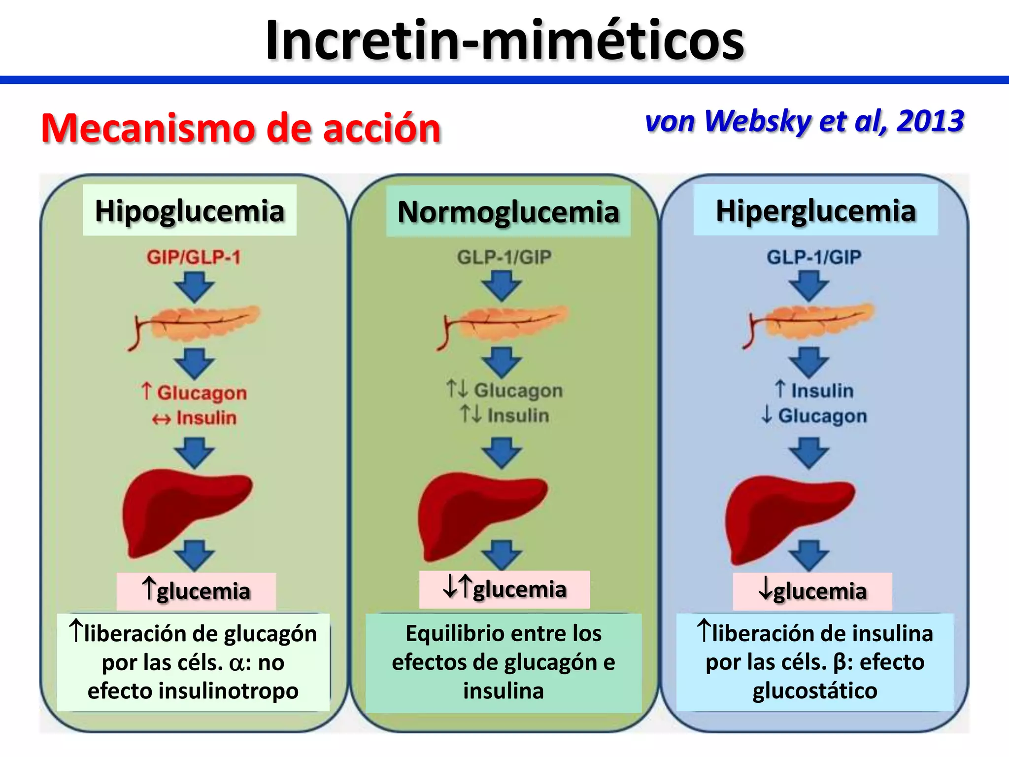 analogos glp 1 mecanismo de accion Análogos de GLP-1 e inhibidores de SLGT-2