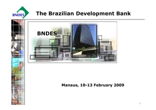 The Brazilian Development Bank


BNDES




        Manaus, 10-13 February 2009



                                      1
 