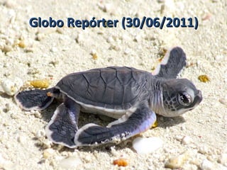 Globo Repórter (30/06/2011) 