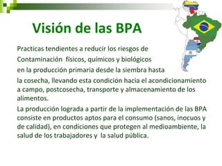 Visión de las BPA 
Practicas tendientes a reducir los riesgos de 
Contaminación físicos, químicos y biológicos 
en la producción primaria desde la siembra hasta 
la cosecha, llevando esta condición hacia el acondicionamiento a campo, postcosecha, transporte y almacenamiento de los alimentos. 
La producción lograda a partir de la implementación de las BPA consiste en productos aptos para el consumo (sanos, inocuos y de calidad), en condiciones que protegen al medioambiente, la salud de los trabajadores y la salud pública.  