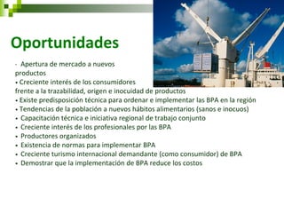 Oportunidades 
• Apertura de mercado a nuevos 
productos 
• Creciente interés de los consumidores 
frente a la trazabilidad, origen e inocuidad de productos 
• Existe predisposición técnica para ordenar e implementar las BPA en la región 
• Tendencias de la población a nuevos hábitos alimentarios (sanos e inocuos) 
• Capacitación técnica e iniciativa regional de trabajo conjunto 
• Creciente interés de los profesionales por las BPA 
• Productores organizados 
• Existencia de normas para implementar BPA 
• Creciente turismo internacional demandante (como consumidor) de BPA 
• Demostrar que la implementación de BPA reduce los costos 
 