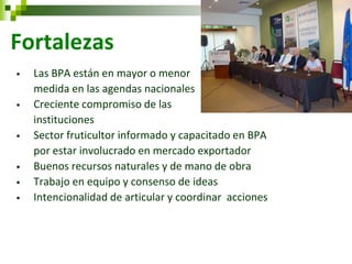 Fortalezas 
•Las BPA están en mayor o menor 
medida en las agendas nacionales 
•Creciente compromiso de las 
instituciones 
•Sector fruticultor informado y capacitado en BPA 
por estar involucrado en mercado exportador 
•Buenos recursos naturales y de mano de obra 
•Trabajo en equipo y consenso de ideas 
•Intencionalidad de articular y coordinar acciones 
 