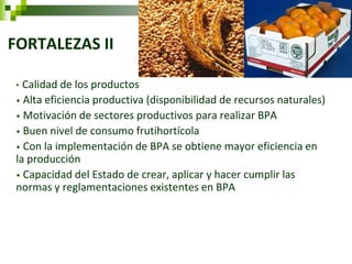 FORTALEZAS II 
• Calidad de los productos 
• Alta eficiencia productiva (disponibilidad de recursos naturales) 
• Motivación de sectores productivos para realizar BPA 
• Buen nivel de consumo frutihortícola 
• Con la implementación de BPA se obtiene mayor eficiencia en la producción 
• Capacidad del Estado de crear, aplicar y hacer cumplir las normas y reglamentaciones existentes en BPA  