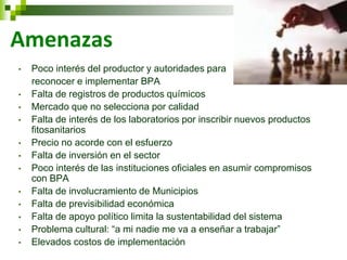 Amenazas 
•Poco interés del productor y autoridades para 
reconocer e implementar BPA 
•Falta de registros de productos químicos 
•Mercado que no selecciona por calidad 
•Falta de interés de los laboratorios por inscribir nuevos productos fitosanitarios 
•Precio no acorde con el esfuerzo 
•Falta de inversión en el sector 
•Poco interés de las instituciones oficiales en asumir compromisos con BPA 
•Falta de involucramiento de Municipios 
•Falta de previsibilidad económica 
•Falta de apoyo político limita la sustentabilidad del sistema 
•Problema cultural: “a mi nadie me va a enseñar a trabajar” 
•Elevados costos de implementación  