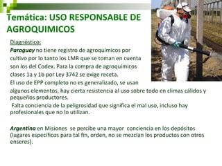 Temática: USO RESPONSABLE DE AGROQUIMICOS 
Diagnóstico: 
Paraguay no tiene registro de agroquímicos por 
cultivo por lo tanto los LMR que se toman en cuenta 
son los del Codex. Para la compra de agroquímicos 
clases 1a y 1b por Ley 3742 se exige receta. 
El uso de EPP completo no es generalizado, se usan 
algunos elementos, hay cierta resistencia al uso sobre todo en climas cálidos y pequeños productores. 
Falta conciencia de la peligrosidad que significa el mal uso, incluso hay profesionales que no lo utilizan. 
Argentina en Misiones se percibe una mayor conciencia en los depósitos (lugares específicos para tal fin, orden, no se mezclan los productos con otros enseres). 
 