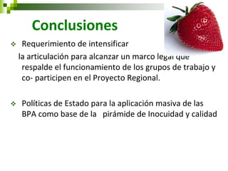 Conclusiones 
Requerimiento de intensificar 
la articulación para alcanzar un marco legal que respalde el funcionamiento de los grupos de trabajo y co- participen en el Proyecto Regional. 
Políticas de Estado para la aplicación masiva de las BPA como base de la pirámide de Inocuidad y calidad  