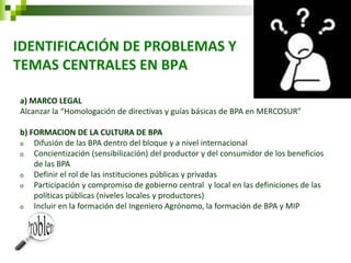 IDENTIFICACIÓN DE PROBLEMAS Y TEMAS CENTRALES EN BPA 
a) MARCO LEGAL Alcanzar la “Homologación de directivas y guías básicas de BPA en MERCOSUR” b) FORMACION DE LA CULTURA DE BPA 
oDifusión de las BPA dentro del bloque y a nivel internacional 
oConcientización (sensibilización) del productor y del consumidor de los beneficios de las BPA 
oDefinir el rol de las instituciones públicas y privadas 
oParticipación y compromiso de gobierno central y local en las definiciones de las políticas públicas (niveles locales y productores) 
oIncluir en la formación del Ingeniero Agrónomo, la formación de BPA y MIP  