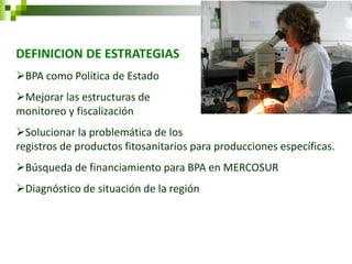 DEFINICION DE ESTRATEGIAS 
BPA como Política de Estado 
Mejorar las estructuras de monitoreo y fiscalización 
Solucionar la problemática de los registros de productos fitosanitarios para producciones específicas. 
Búsqueda de financiamiento para BPA en MERCOSUR 
Diagnóstico de situación de la región  