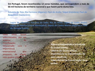 Em Portugal, foram reconhecidas 12 zonas húmidas, que correspondem a mais de 66 mil hectares de território nacional e que fazem parte duma lista.Estuário do Tejo; Ria Formosa (Algarve); Paul de Arzila; Taipal (Coimbra); Paul do Boquilobo(Santarém); Lagoa de Albufeira; Estuário do Sado; Ria de Alvor; Lagoa de Santo André; Lagoa da Sancha (Litoral Alentejano); Sapais de Castro Marim (Algarve) e Paúl da Tornada (Leiria). Estes sítios foram seleccionados, por um sistema de classificação, relacionado com a importância internacional que possuem, de acordo com quatro critérios:Representatividade e unicidade do ecossistema; Valores da fauna e flora; Importância na Conservação de aves aquáticas; Importância na Conservação de peixes.