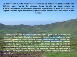 De acordo com o texto ratificado na Convenção de Ramsar, as zonas húmidas são definidas como "zonas de pântano, charco, turfeira ou água, natural ou artificial, permanente ou temporária, com água estagnada ou corrente, doce, salobra ou salgada, incluindo águas marinhas cuja profundidade na maré baixa não exceda os seis metros". As zonas húmidas são dos ecossistemas mais ricos e produtivos do mundo, em termos de diversidade biológica, possuindo grandes concentrações de aves aquáticas, mamíferos, répteis, anfíbios, peixes e invertebrados. Estes espaços têm associados muitos valores e funções, tais como o controlo de inundações (retendo o excesso de água), reposição de águas subterrâneas, regulação do ciclo da água, produção de biomassa, retenção dos sedimentos e nutrientes, mitigação das alterações climáticas (através da captura de dióxido de carbono da atmosfera e a libertação de oxigénio, com a fotossíntese) e valores culturais, turísticos e recreativos. 