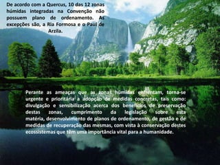 De acordo com a Quercus, 10 das 12 zonas húmidas integradas na Convenção não possuem plano de ordenamento. As excepções são, a Ria Formosa e o Paul de Arzila. Perante as ameaças que as zonas húmidas enfrentam, torna-se urgente e prioritária a adopção de medidas concretas, tais como: divulgação e sensibilização acerca dos benefícios de preservação destas zonas, cumprimento da legislação sobre esta matéria, desenvolvimento de planos de ordenamento, de gestão e de medidas de recuperação das mesmas, com vista à conservação destes ecossistemas que têm uma importância vital para a humanidade. 