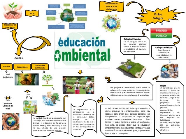 Eduardo febles. mapa mental de educacion ambiental
