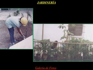 JARDINERÍA




Galería de Fotos
 