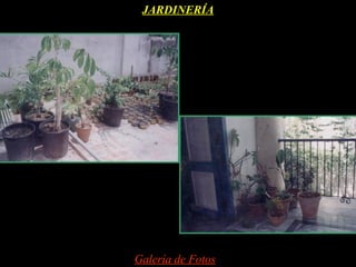 JARDINERÍA




Galería de Fotos
 