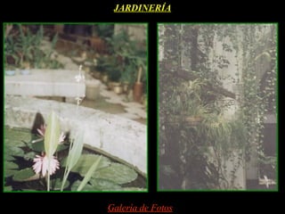 JARDINERÍA




Galería de Fotos
 