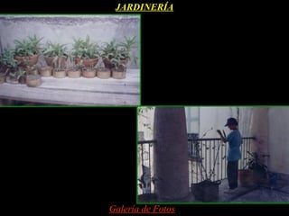 JARDINERÍA




Galería de Fotos
 