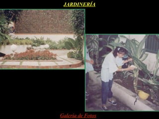 JARDINERÍA




Galería de Fotos
 