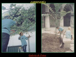 JARDINERÍA




Galería de Fotos
 