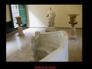 Galería de Fotos
 