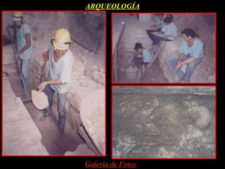 ARQUEOLOGÍA




Galería de Fotos
 